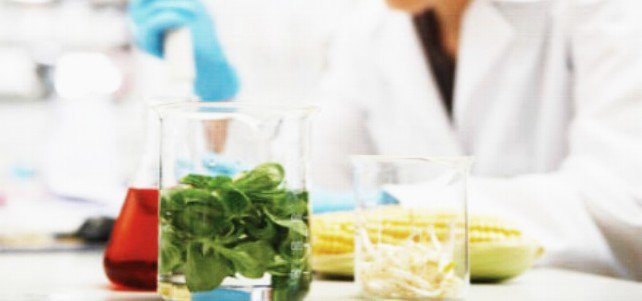 Boca2Elabora2's tweet photo. ¿Te has preguntado alguna vez qué procesos tecnológicos se utilizan para llevar ciertos alimentos a nuestras cocinas? Nosotros (@StefanieVeraM, @_Raulo_, @MarbelUi1 y @MartaMV11 de la @ui1Universidad) os lo contamos 😉
#redui1 #procesos #boca2elabora2 https://t.co/4x9LPUM1nr