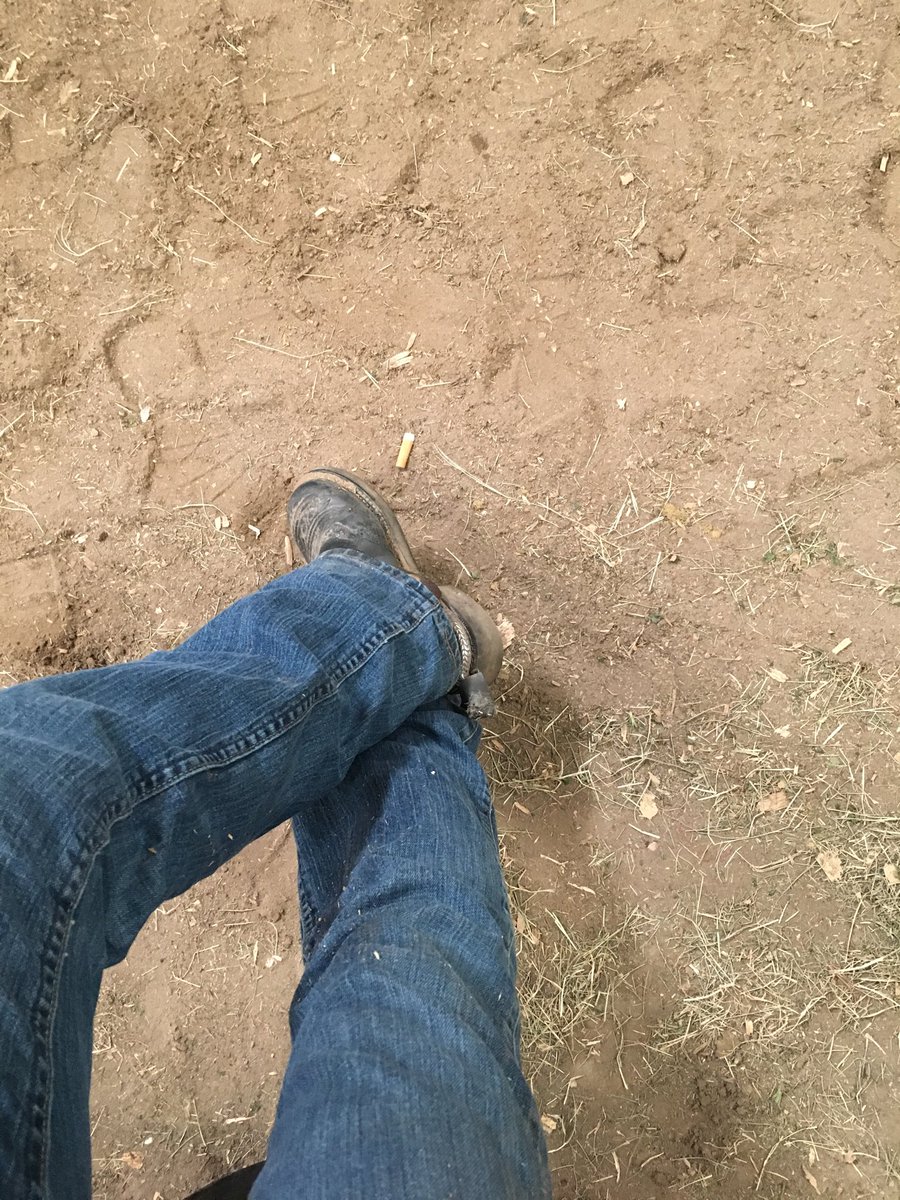 JPastorRacing's tweet photo. It's 915... finally got a chance to sit down for a minute... couchon de lait in the grandstand today!!! https://t.co/0GXXdCcpBm