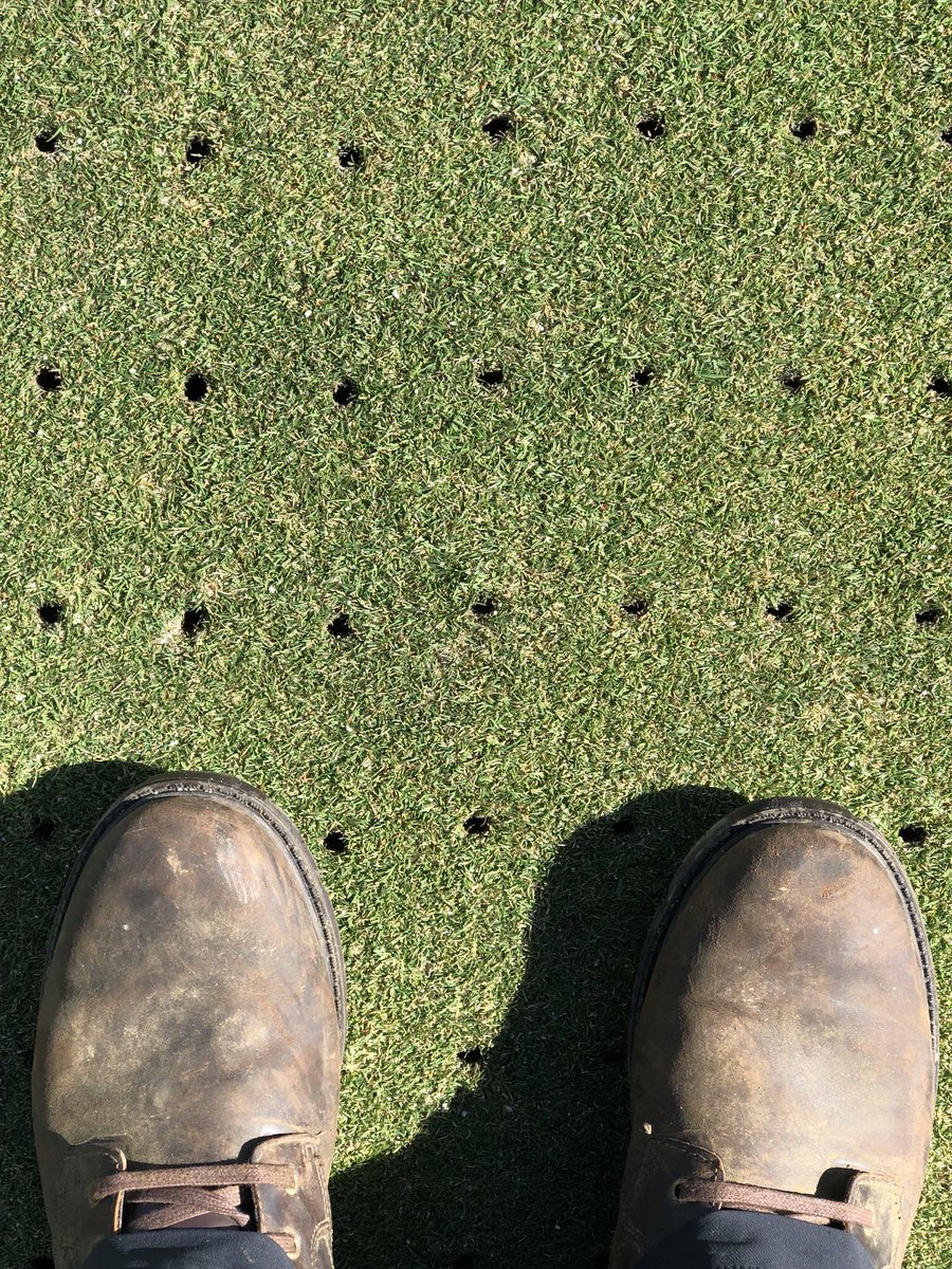 Jordanpsuturf's tweet photo. 7” Deep Tine @ 2” x 3” spacing to our T-1 Greens followed up with a double roll. #turfgrass #2018preparations https://t.co/M5NrfUjhtO