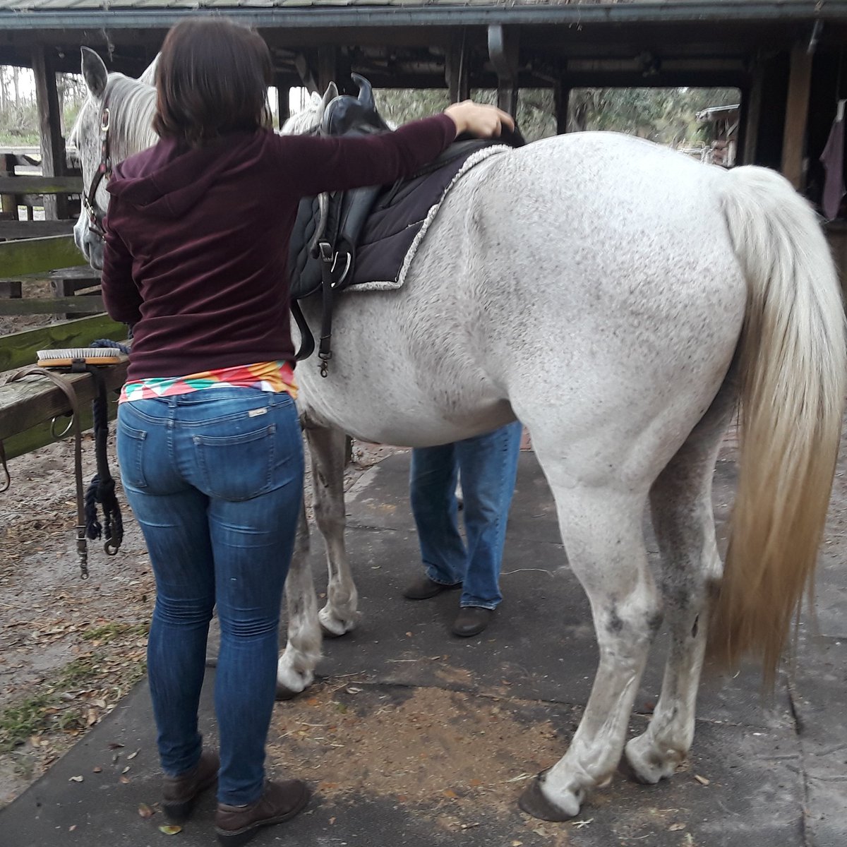I've got to say best thing to do is rediscover the true you. Get back in the saddle and ride. Horse Spring Farm was awesome . Lorraine takes great care of her horse friends and they give so much love back. #rediscoveryou #horsespirit #backinthesaddle #feelingblessed