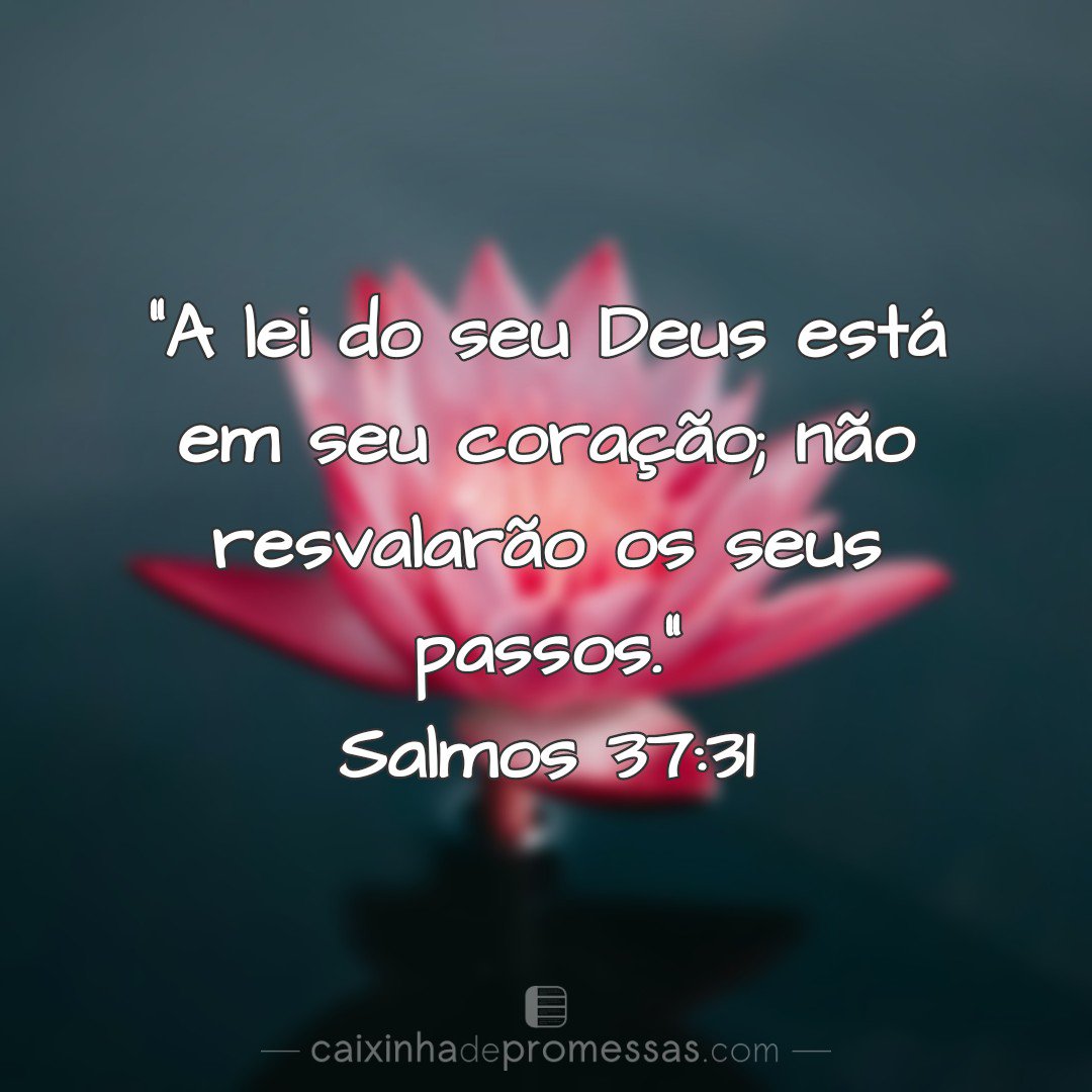 Jany #PARCEIROSBETA tweet media