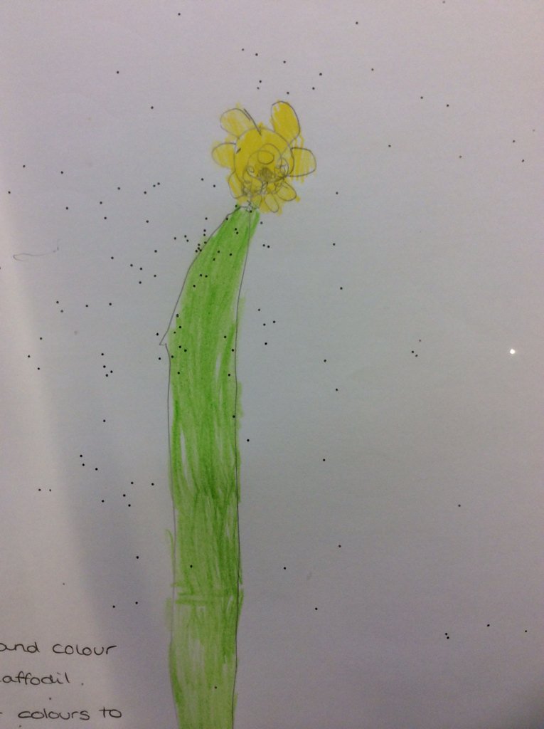 llfiaclass2's tweet photo. Today after our St David's assembly we drew national symbols in our art books. What do you think? https://t.co/6pTRfiyhZY