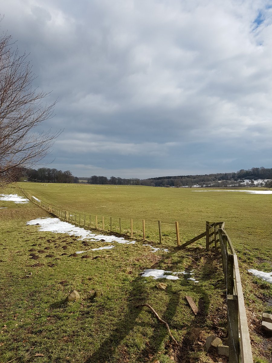 alnwickharriers tweet picture