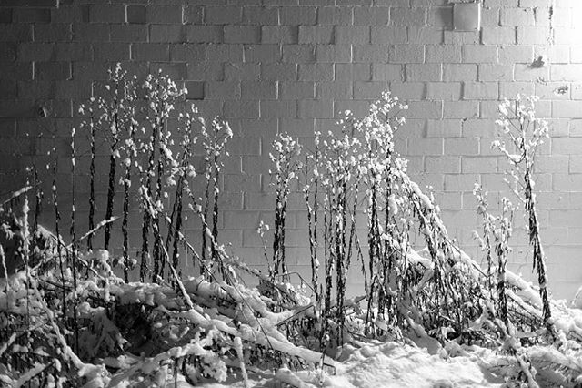 genesmirnov's tweet photo. Sugar cubes.
.
.
.
.
.
#theprintswap 
#abington
#igers_philly
#noreaster
#winter
#eastcoasthustle
#contemporaryphotography 
#art 
#artofvisual 
#vscomood 
#igdaily 
#instalove 
#instagood 
#landscape 
#livefolk 
#createexplore 
#visualfolk 
#igers_philly… https://t.co/omsNaGDbv3 https://t.co/2EFxNxOHcG