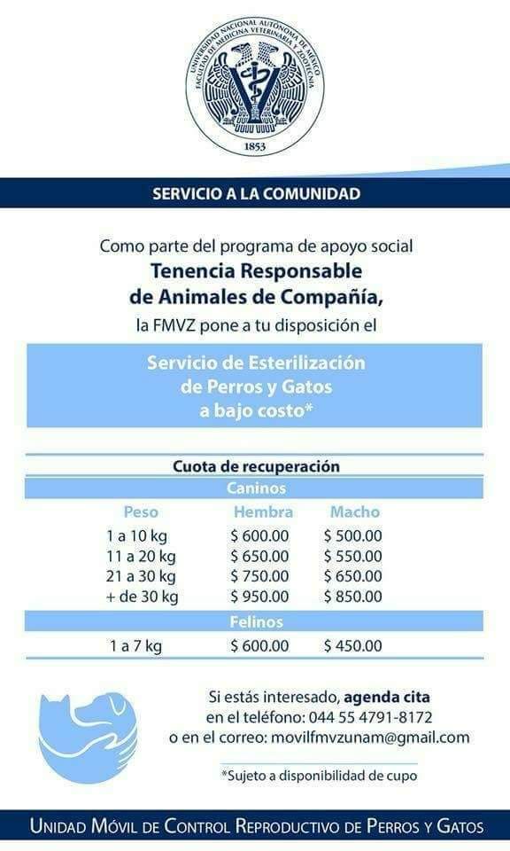 GusMascotas's tweet photo. RT No hay pretexto para no esterilizar a sus perros y gatos! Acudan a la FMVZ de la UNAM #Compatan y cuidemos la salud de nuestros 🐕 y 🐈 #Animaleria @rociormx @RMXradio @rmx_cancun @rmx_slp https://t.co/WgHsgIYTcf
