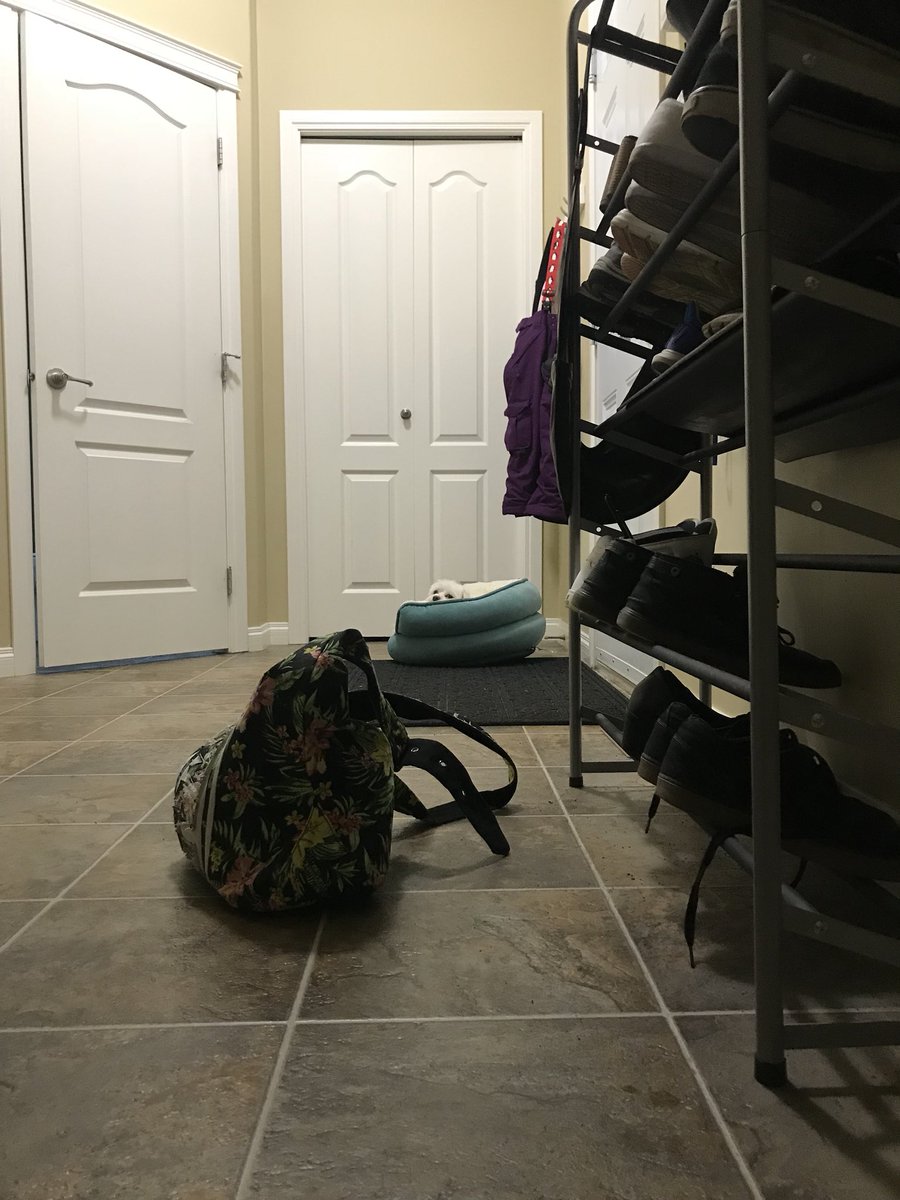 SoaRCoop's tweet photo. When the family needs to leave. 😑😒 https://t.co/zRvKDYRood