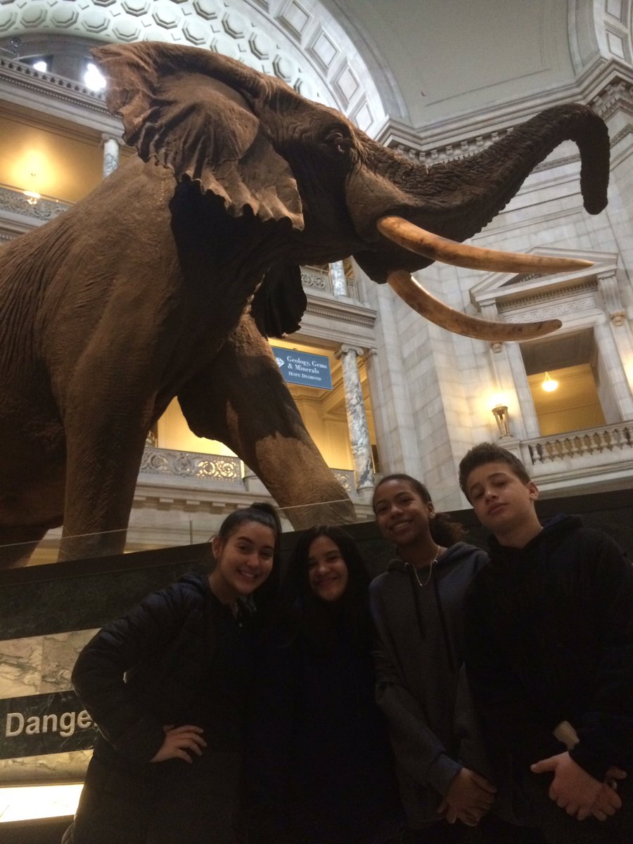 GravesKyla's tweet photo. Starting #day3 at the @smithsonian #naturalhistory museum. Then off to @GettysburgNMP for some civil war history lessons. @brimmerandmay #dc2018 https://t.co/bwqEs3wbky