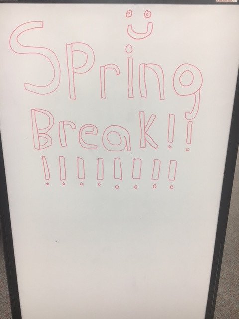 joynerlibrary's tweet image. Understood &amp;amp; well-deserved! #whiteboardwednesday #springbreak #quietlibrary #pirates