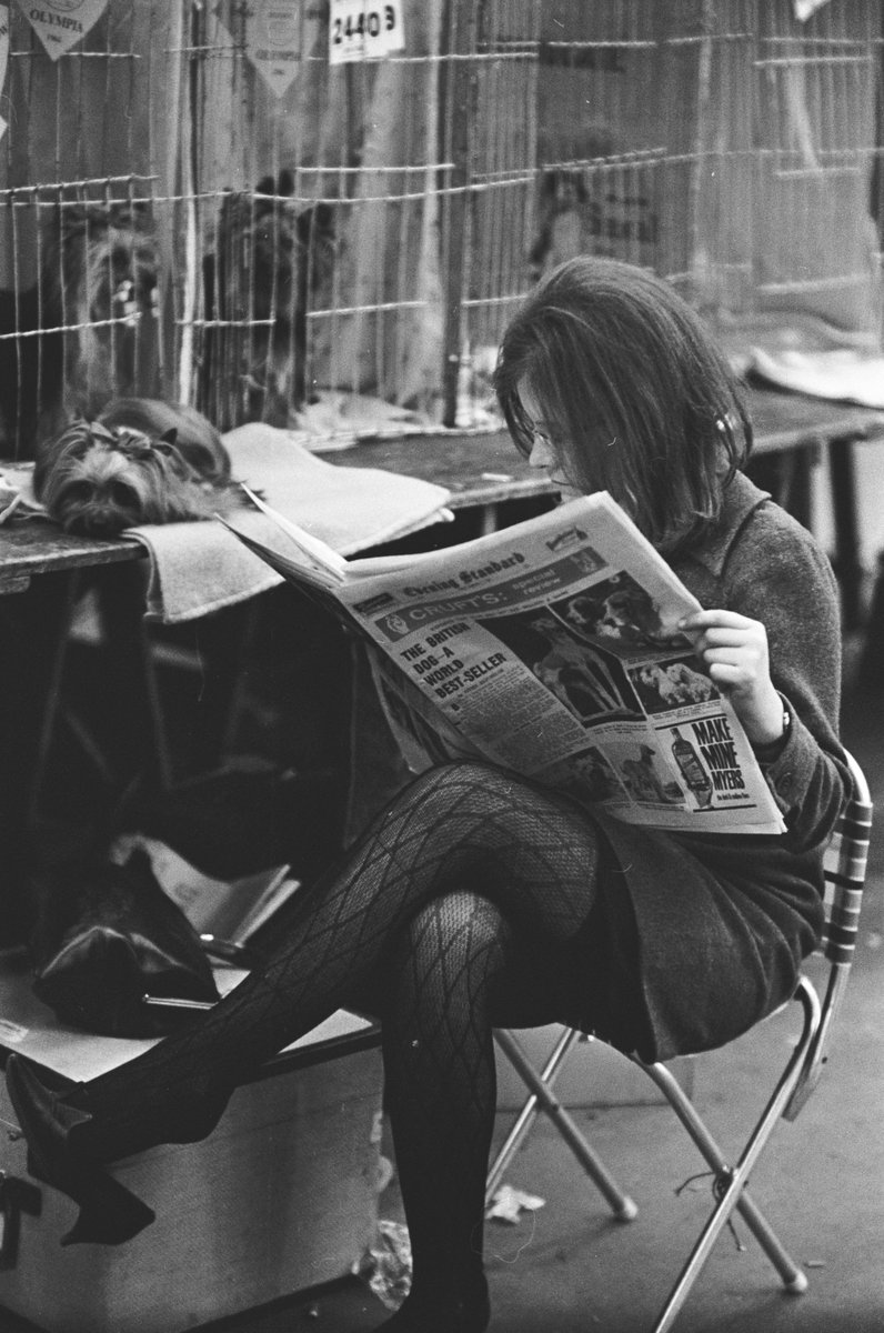RookGallery's tweet image. On the eve of @crufts thought we would post some photos from Crufts 1959 taken by late photographer, Norman McCaskill #Crufts2018 #Crufts #blackandwhitephotography #1950s
