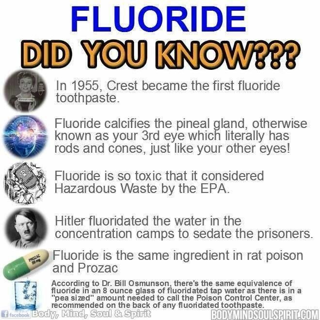 Seth Powers (@sethpow18428485) on Twitter photo 