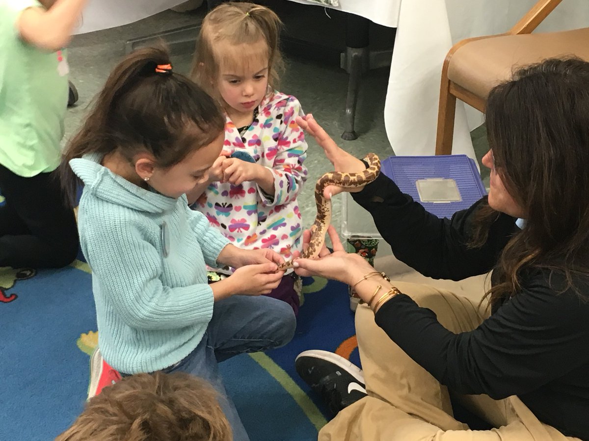 StoiaLu's tweet photo. Nature play @ColumbusZoo #ZooKids meet Ralph the snake. “In the end we will conserve only what we love.” #Family411 https://t.co/V7LkPqkbJh