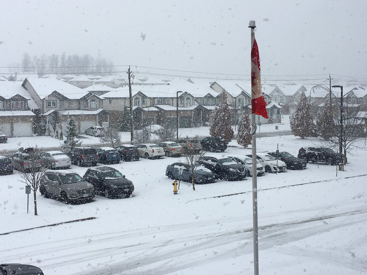 MmeDesjardins's tweet image. Il neige encore! #notspringyet @WTTWRDSB