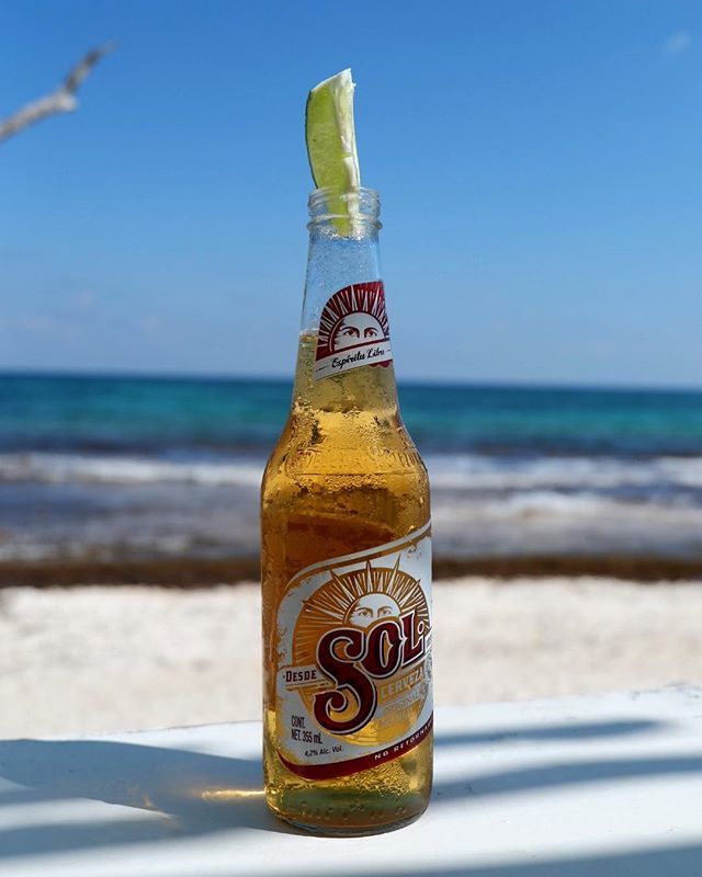 First_We_Eat's tweet image. I will miss this life. Mexico, you have been a dream. #DontMakeMeMexiGo ift.tt/2tjybuk