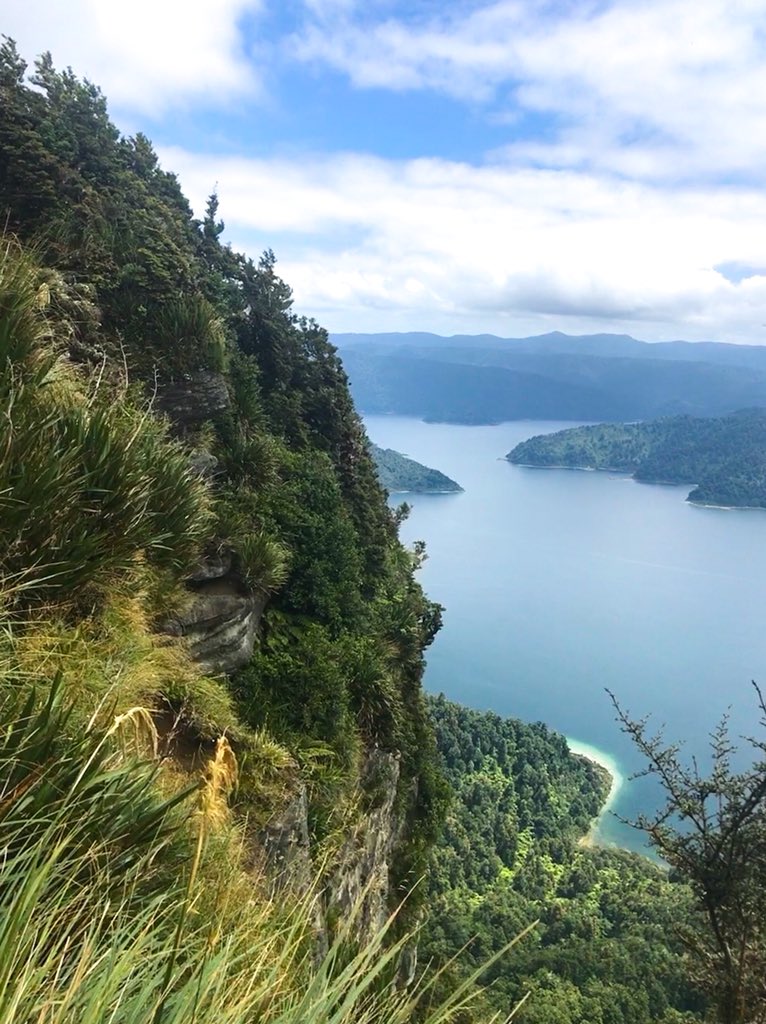 adventure_medic's tweet photo. Definitive Junior Doctors’ Guide to Working and Living in New Zealand now live on the website! FY3s Shona Main and Will Denehan have demystified the application process from start to finish. Tempted?! Aotearoa awaits you! https://t.co/j9RfPIkj75 #newzealand #juniordoctors #FY3 https://t.co/obis3pgKu7