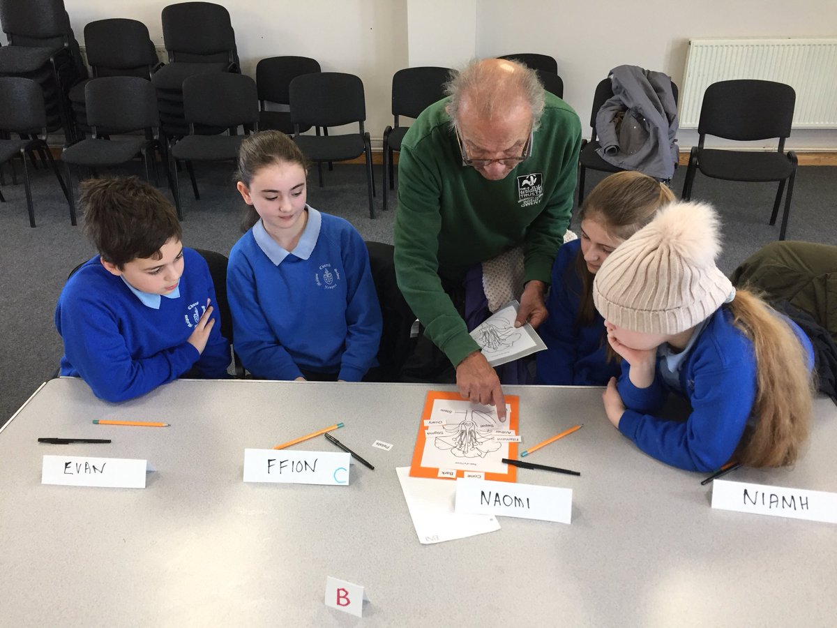 MalpasCWPrimary's tweet photo. Congratulations to our Y6 Wildlife Wizards for an amazing 1st round of the Gwent Schools Quiz! You played very well against Rougemont school. On to the semi-finals next! All the best of luck! https://t.co/WxDotgLo6L