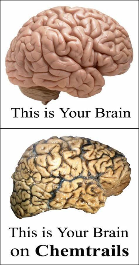 Seth Powers (@sethpow18428485) on Twitter photo 