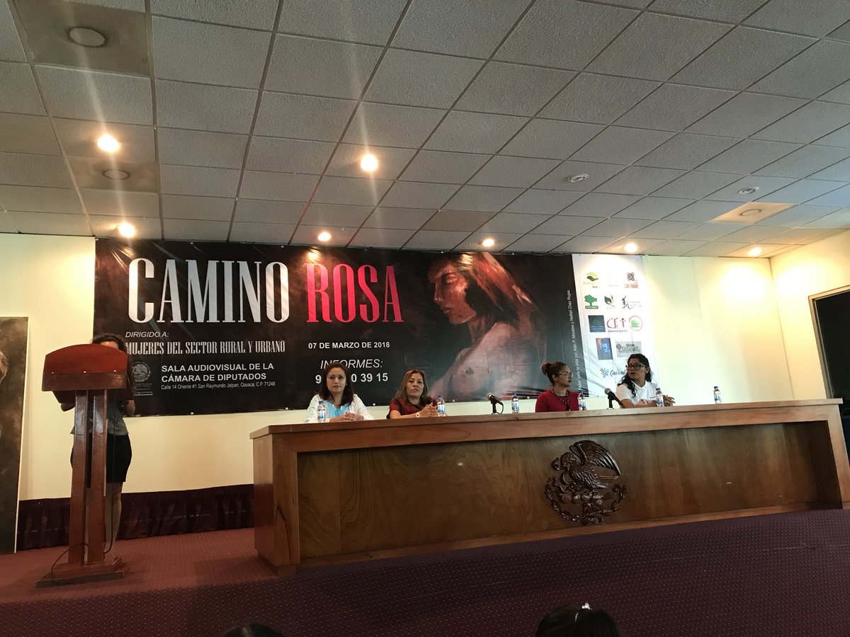 CEPEOaxAc's tweet photo. Dando inicio al evento #CaminoRosa #Mujeres #México #Oaxaca. Todas valemos por lo que somos. https://t.co/Pb9mZ5mu6L