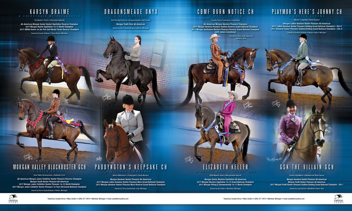 TNH1865's tweet photo. Crystal Farms presents its All-American Winners
#nationalhorseman #allamerican #crystalfarms #morganhorse https://t.co/o57HEOhUQZ