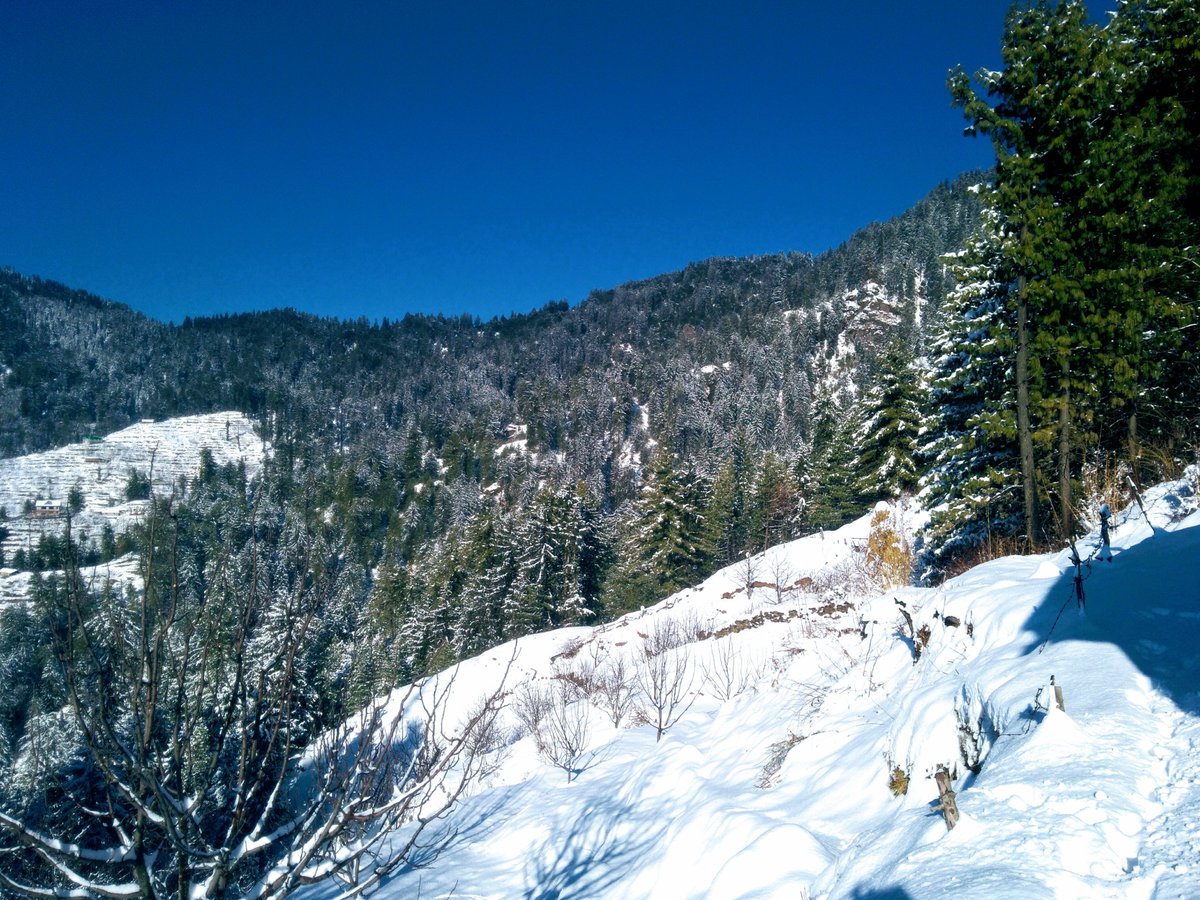 abhi_kainthla's tweet photo. "When snow falls nature listens"
#SnowShimla #ExploreShimla #TheHimalays 
Pic credit - @abhi_kainthla https://t.co/ZcH8buaCAF