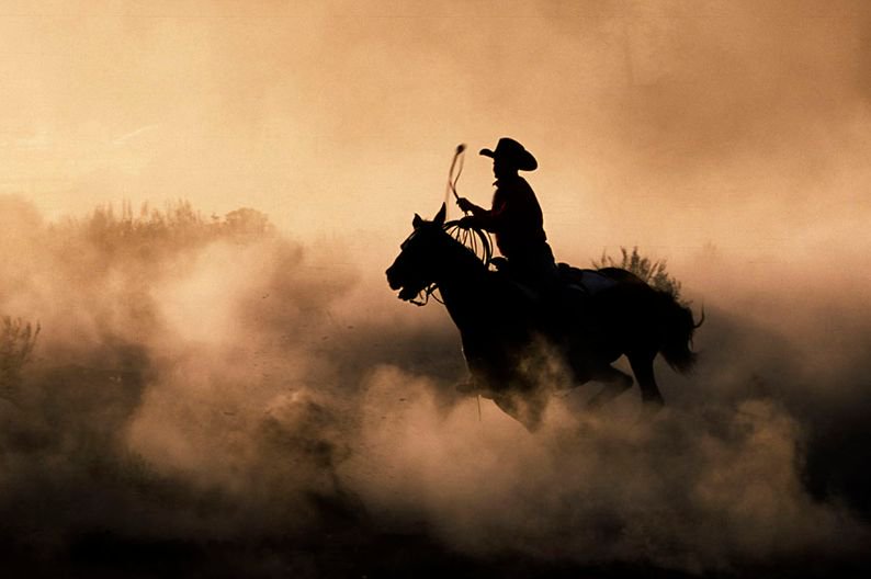 Ranching is about more than folklore, tradition, &amp; rodeo. It's about the land. Ranchers are stewards who care deeply about the land, &amp; know how to preserve and protect it. When one lives off of the land, it's in their best interest to understand it &amp; to guard it #ranchingmatters