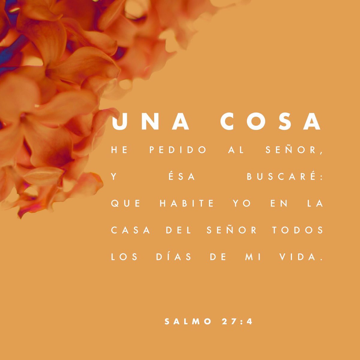 twicemusica's tweet photo. “Una cosa he demandado a Jehová, ésta buscaré: que esté yo en la casa de Jehová todos los días de mi vida, para contemplar la hermosura de Jehová y para buscarlo en su Templo.” Salmos 27:4 https://t.co/joHlmgJST2