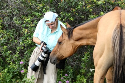 open2interp's tweet image. A workshop where the horses are as friendly as the photographers. #photoencaustic  ed.gr/h8wh #photographyworkshop