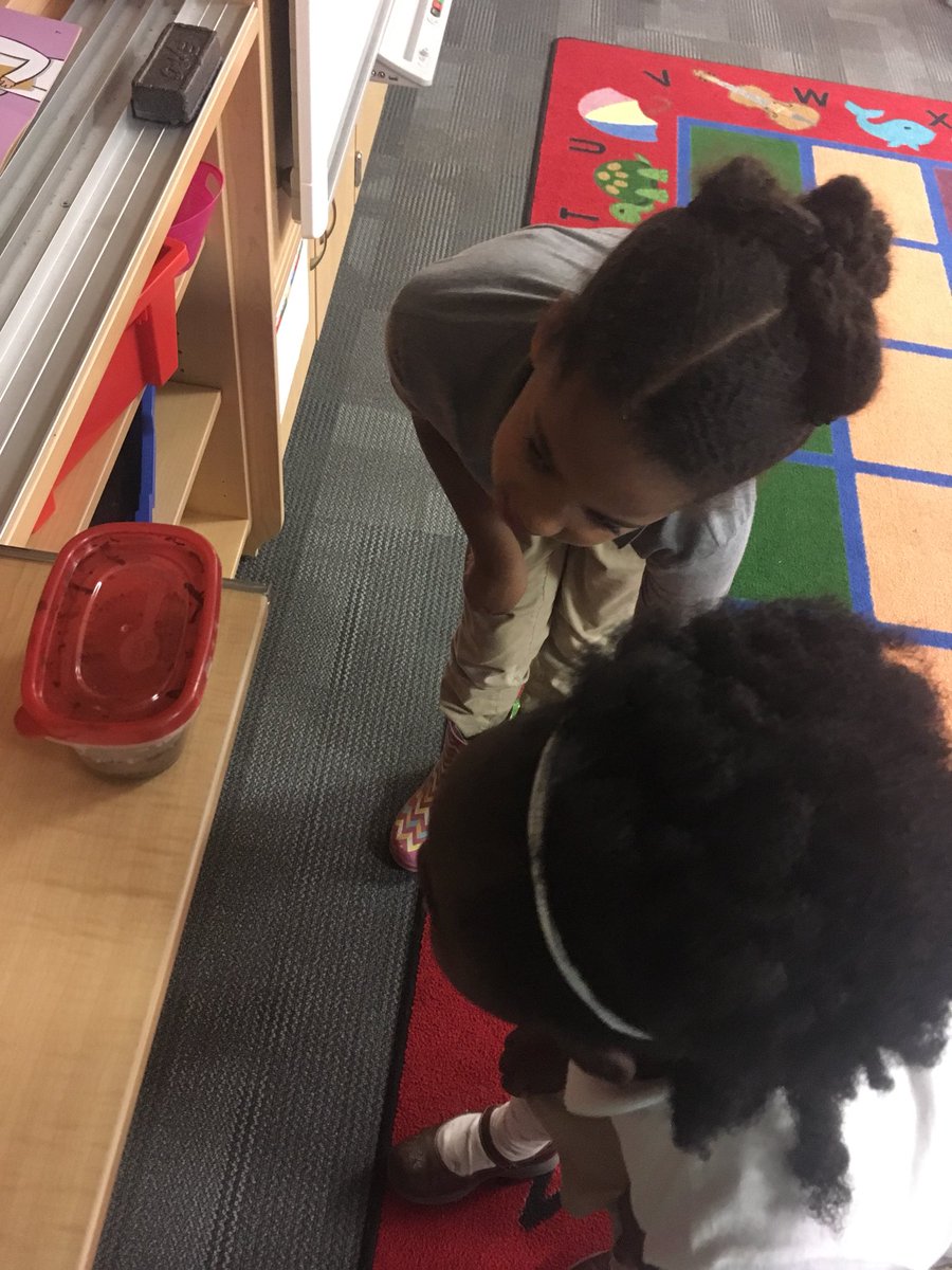 pgloverNCCAE's tweet photo. Finishing up our soil sample paintings and observing our soil sample in real life! #sciencebrains https://t.co/vctozg89zQ