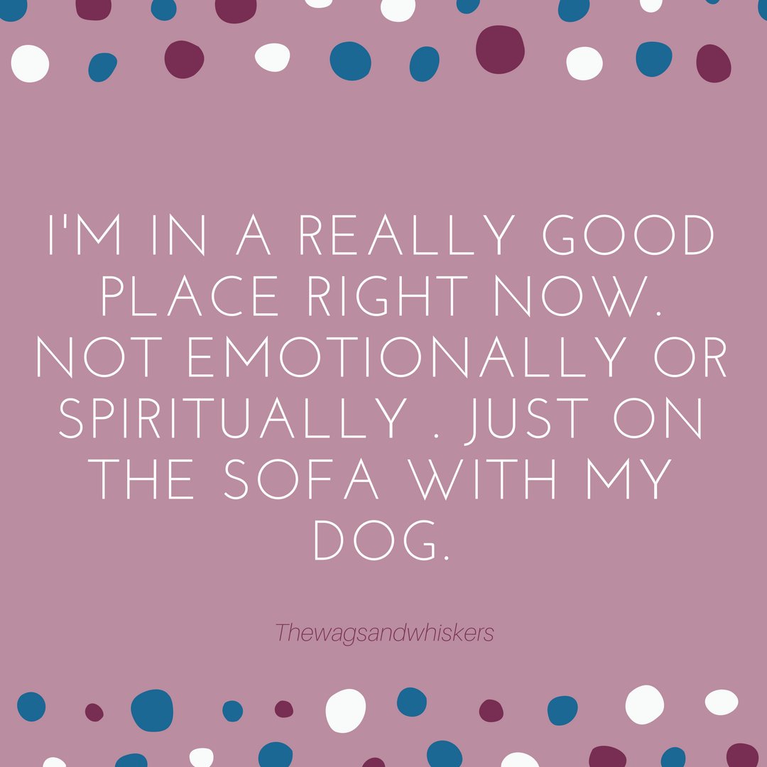 😂😍🐶🐾 #dog #dachshund #mydog