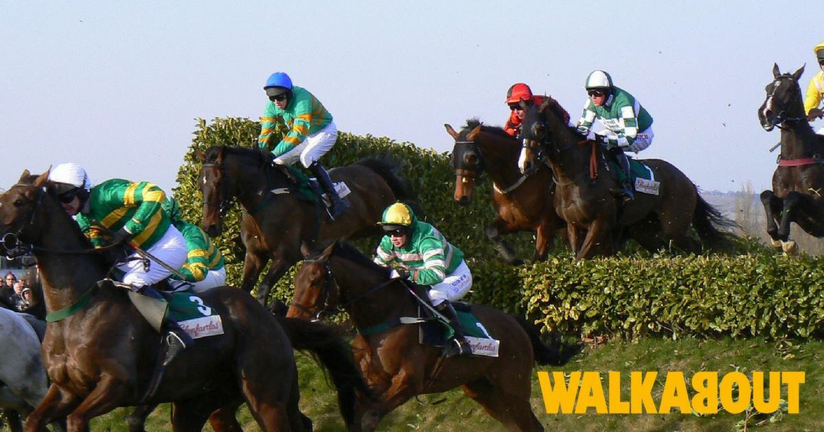 Gallop your way down to @WalkaboutLeices @Walkabout  and watch the Cheltenham Festival live on our Big screens from 13th-16th of March 🐎🐎🐎🐎 #HorseRacing #CheltenhamFestival #walkabout #homeoflivesport #leicester