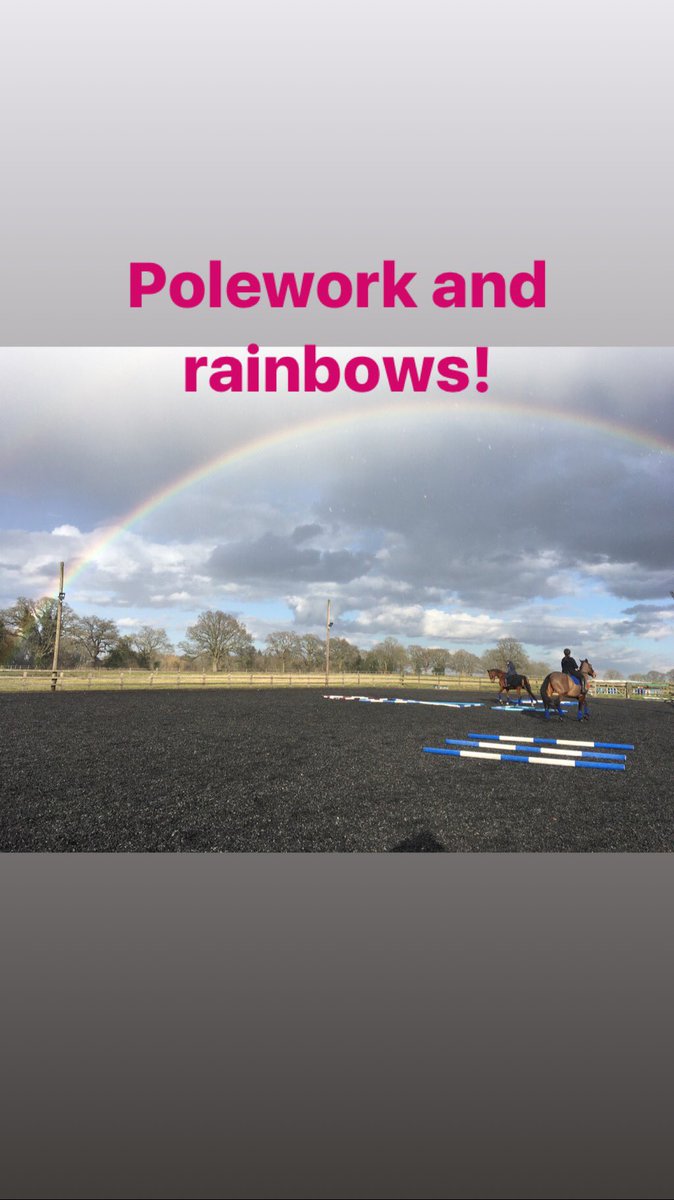 Polework and rainbows!! #247equestrian #stylereins