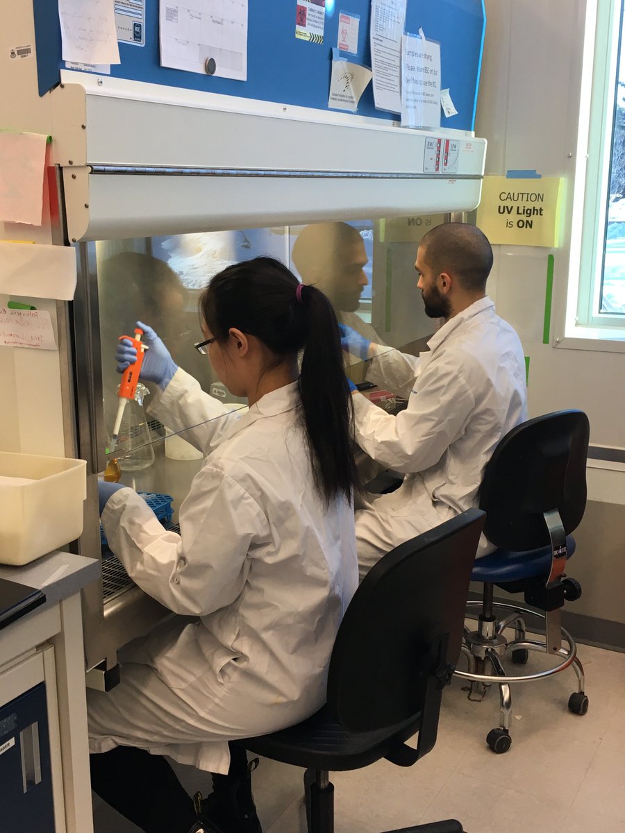BioLargoWater's tweet image. Our @NSERC_CRSNG funded student interns hard at work 👩‍🔬👨‍🔬#blgo #innovation #NSERC