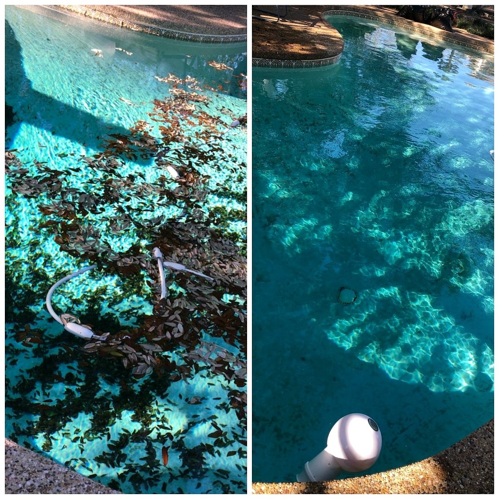 PrettyPools's tweet photo. "Isn't fall supposed to be over?  Aren't we almost to spring?" -Zach
🍂🍁🏊‍♂️

#PrettyPools #PoolService #PoolCleaning#PoolRepair #PoolSupplies#SwimmingPoolSupplyStore#SwimmingPoolSupplyStoreFlowerMound#FlowerMound #DFW https://t.co/2ExZrUbDjn