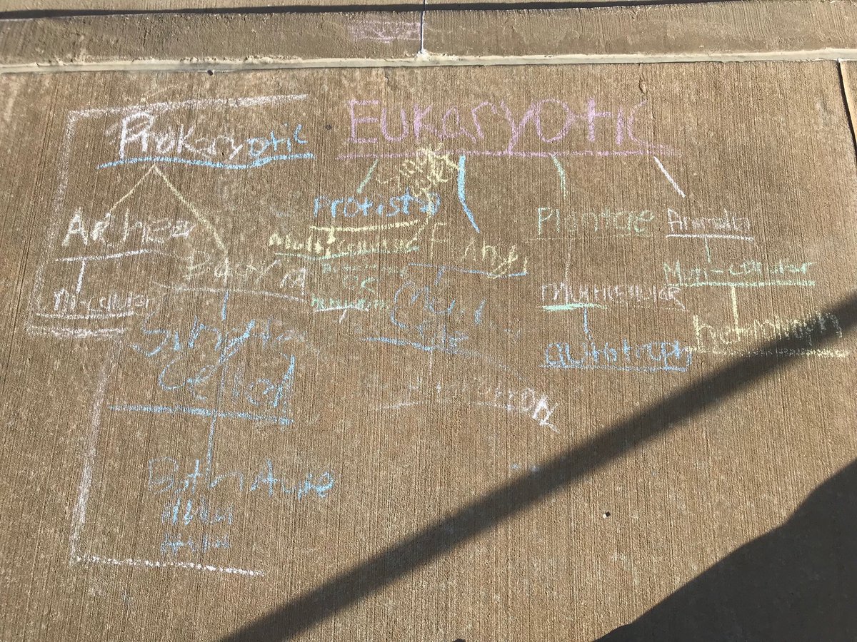 wendystelly's tweet image. 6th grade science students showing what they know! #sciencestars #VandyVision