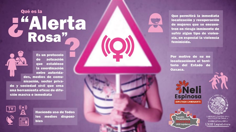 Neli_morena's tweet photo. Dada la ola de violencia contra la mujer por la que atravesamos, NO DEBE EXISTIR MÁS DEMORAS en la implementación de este protocolo que propuse en julio del año pasado. 
#NiUnaMás
#AlertaRosaYa https://t.co/3G9f6hm7nL