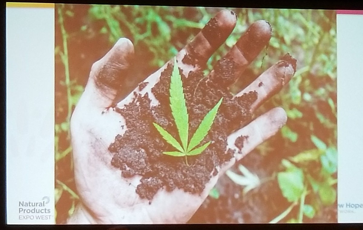 Sweets4EpiGirl's tweet photo. You can't Do this in a GREENHOUSE! Learn the right way to grow and process the crop #CBD #CBDSUMMIT 
#cbdoil
#ExpoBlogger
#ExpoWest
#NEXTY
#NewHopeBlogger

@natprodexpo @newhope360 @deliciousliving @Engredea @newhopenetwork https://t.co/yWhuLVU42y