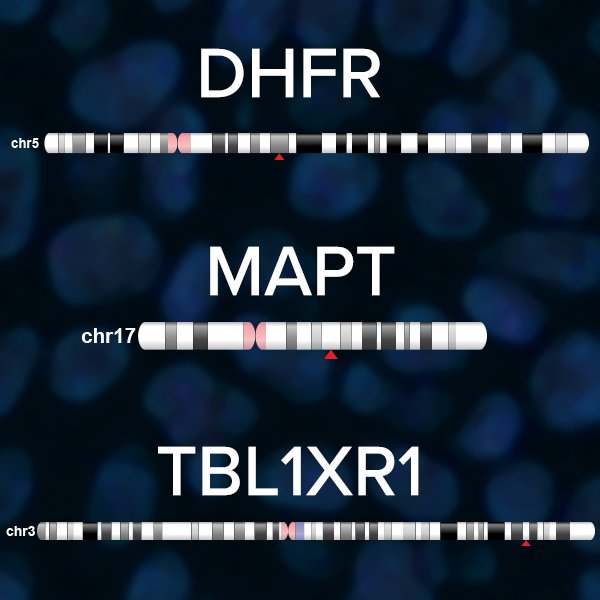 Empire Genomics LLC tweet media