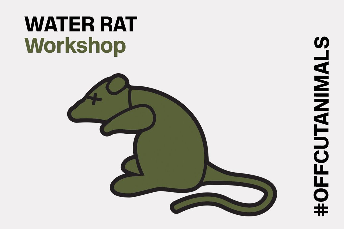 Raeburn_Design's tweet photo. Join us on 7th April for our next #OFFCUTANIMALS workshop; the WATER RAT! All proceedings will be donated to WWF for World Rat Week. Book here: https://t.co/aucSdm2Xhc https://t.co/Wl7WrfUCYY