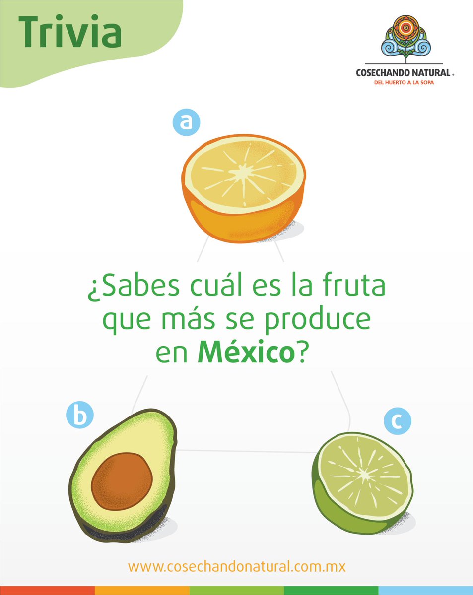 CosechandoNat's tweet photo. Cosechadores, ¿Saben cuál es la fruta que más se produce en México?🍐🍋🍊
#Trivia #CosechandoNatural
Consigue todo para la producción de tus frutales en https://t.co/VnQgLKvVaP https://t.co/Hp1yoig0nt