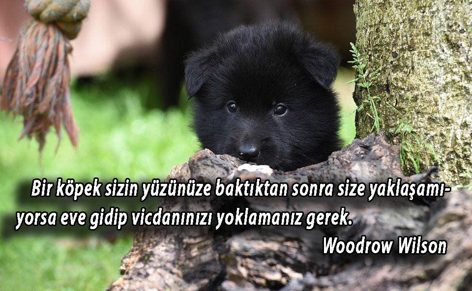 efecang1101's tweet photo. https://t.co/vRK8padzQm