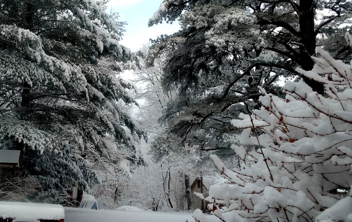DiarioLaPrensa's tweet photo. Hondureños en EEUU, ¿cómo están viviendo la #SnowTorm? https://t.co/HIjWR5fiCC