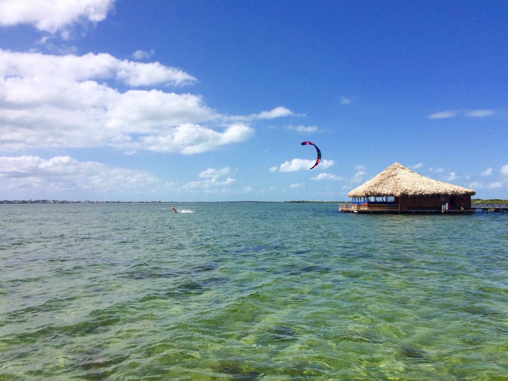 Kite Sisters tweet media