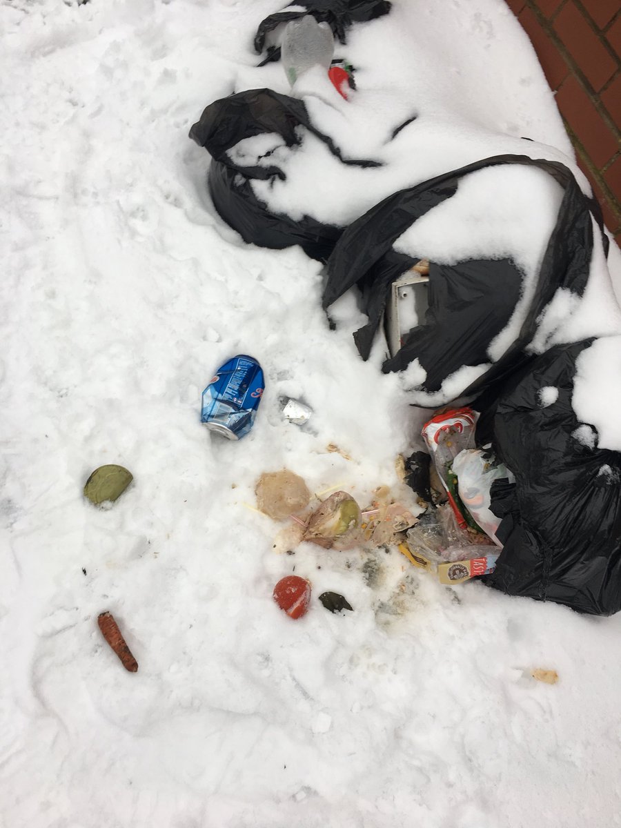 TheRaggiDoll's tweet photo. @1BordesleyGreen @BCC_Help @ehbham @BrumLeader @ErdingtonTories @Jonperrybarr @ShafiqueHShah Yes that is exactly what I was thinking this morning walking through #Handworth #B21 - when did it become culturally acceptable to do this? The Council need some sort of free rubbish collection bet it will be cheaper than the clean up @ShabanaMahmood https://t.co/Ia8FJ0sc8v