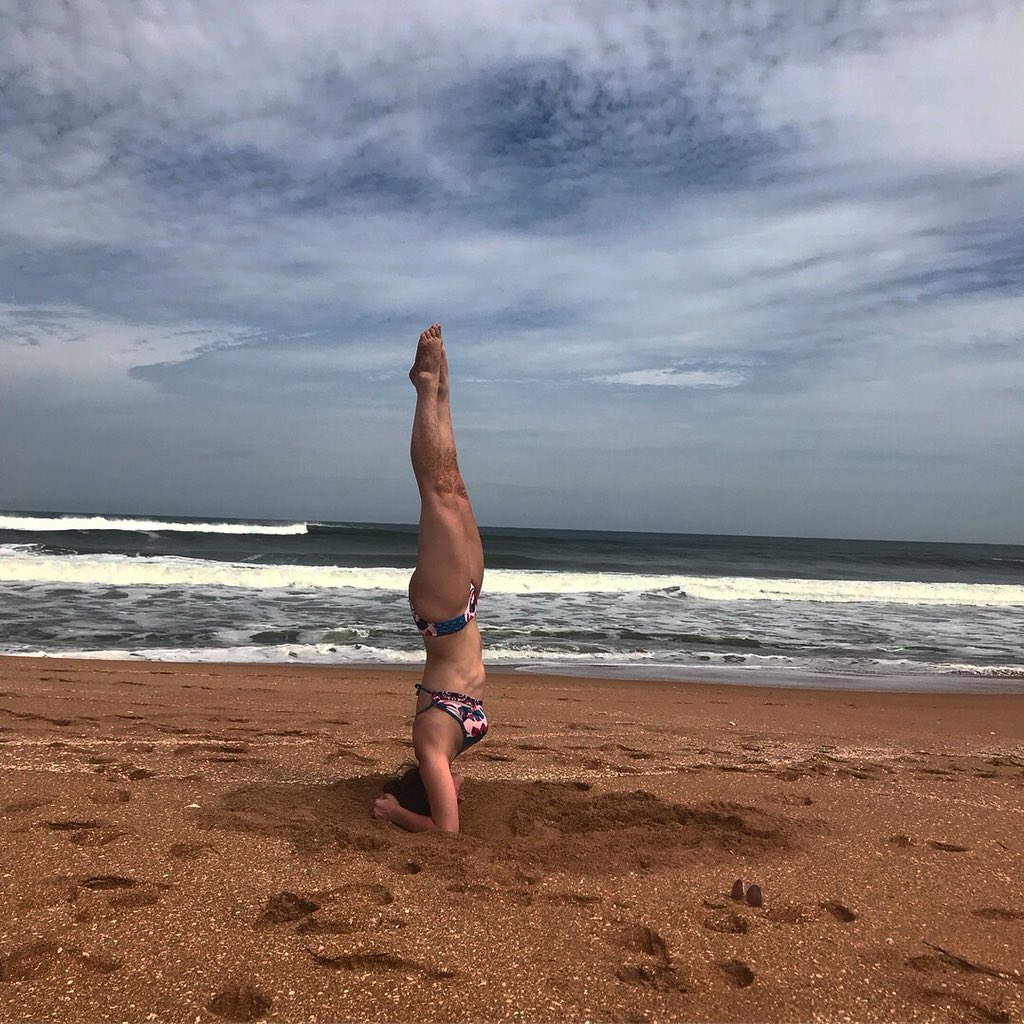 MadiVanWinkle's tweet photo. Arm balances on arm balances https://t.co/VEfzbC8IOK