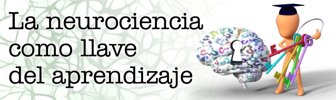 middos_es's tweet photo. #educación La #neurociencia como llave del #aprendizaje https://t.co/XupZPqnLZT vía @enmarcha https://t.co/pZrTaN9osa