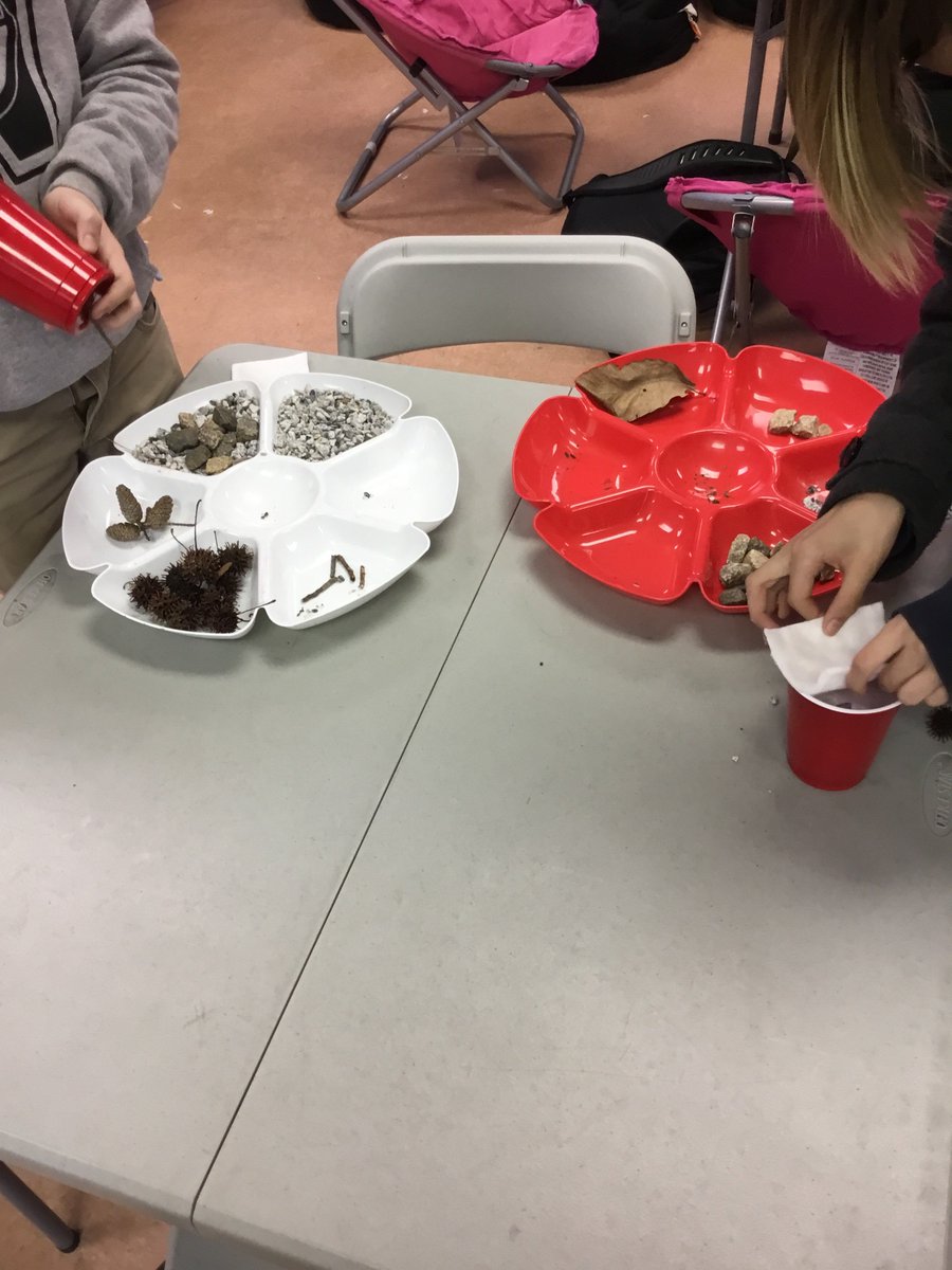 KingRobert318's tweet photo. Preteaching water quality through natural water filters. #westbulldogs #createyourvison #applyrealworldskills https://t.co/hzZmca49QD
