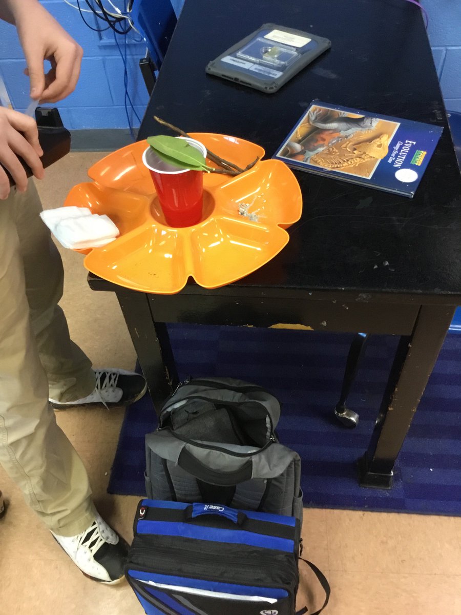 KingRobert318's tweet photo. Preteaching water quality through natural water filters. #westbulldogs #createyourvison #applyrealworldskills https://t.co/hzZmca49QD