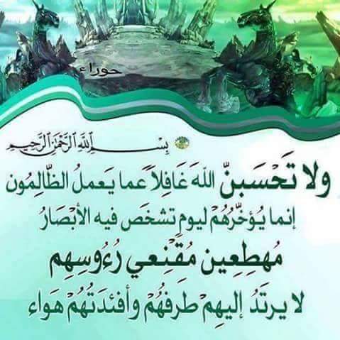 التيجر (@altegar2025) on Twitter photo 