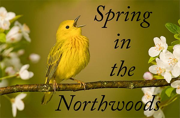 SteveGettle's tweet photo. Spring Workshops, 2018 https://t.co/Kv1PAT0Ha2 https://t.co/eqVQDhhVWS
