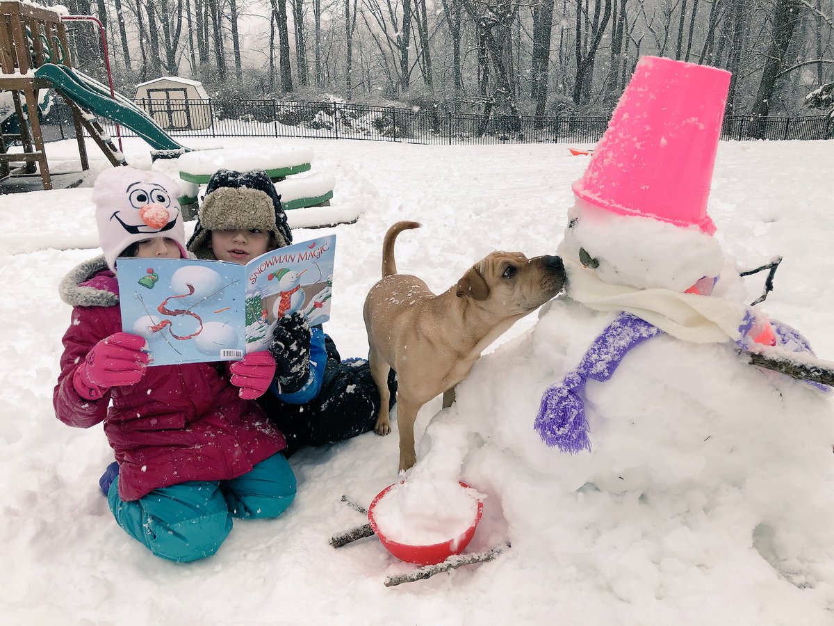 Chase and Ella are reading to their snowman. Zoey is trying to eat the nose🙈☃️📚<a href="/SWSelem/">John Meanix</a> #snowday_readday