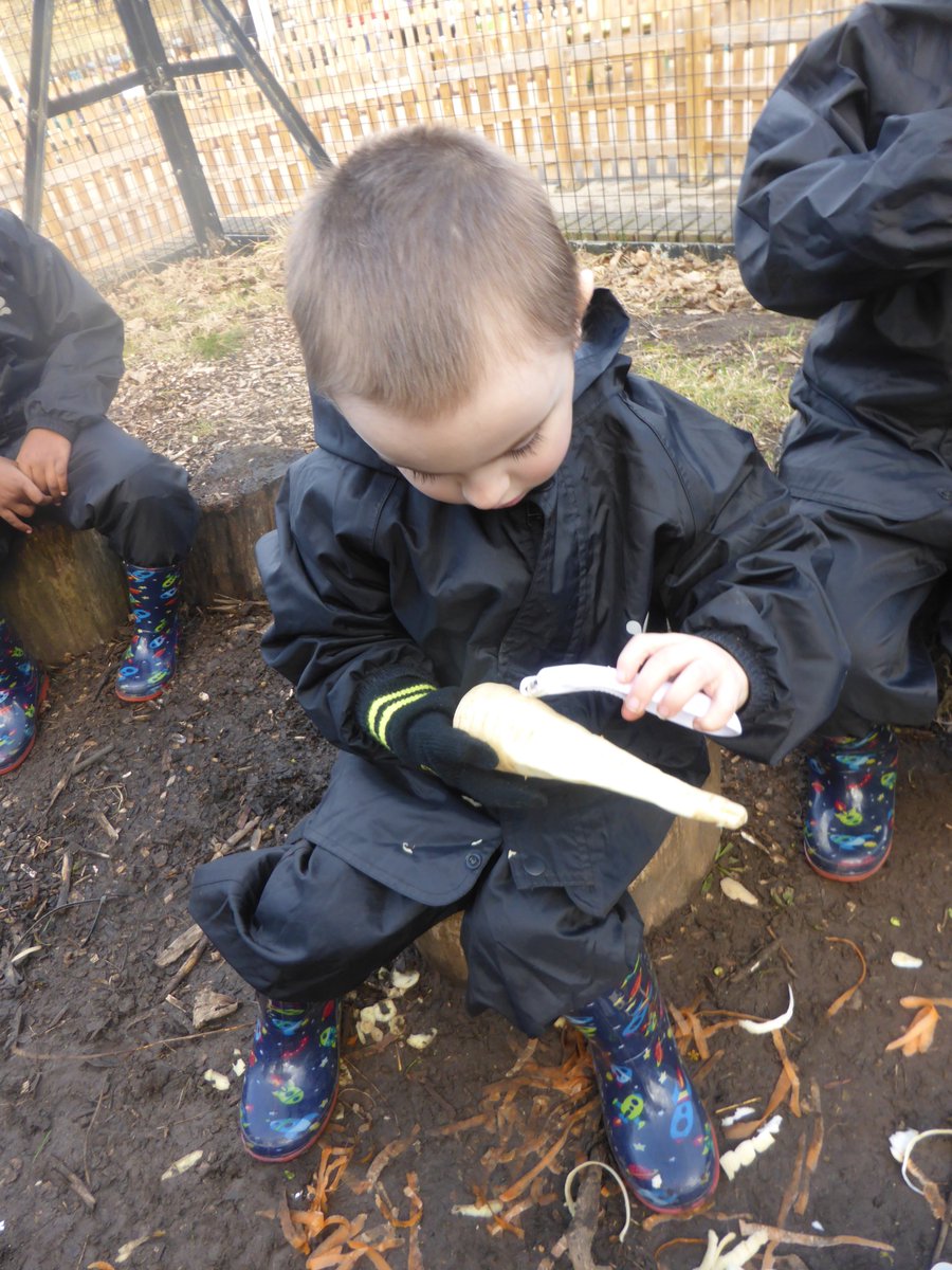 WoodhillFS's tweet photo. Reception have been learning how to use peelers safely @WoodhillSchool  #eyfs #forestschool #finemotor https://t.co/g9CYNY4GRd